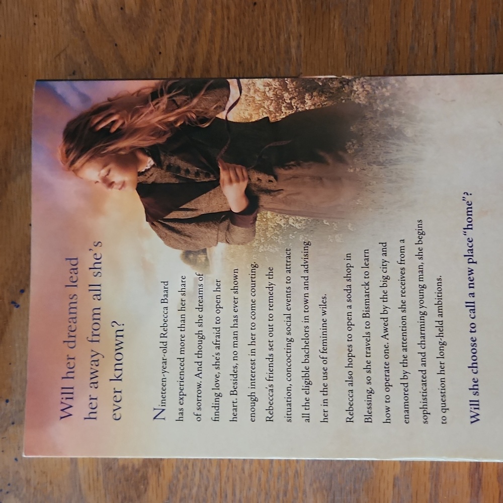 Set of 4 Inspirational Historical Romance Novels - Picture 9 of 12